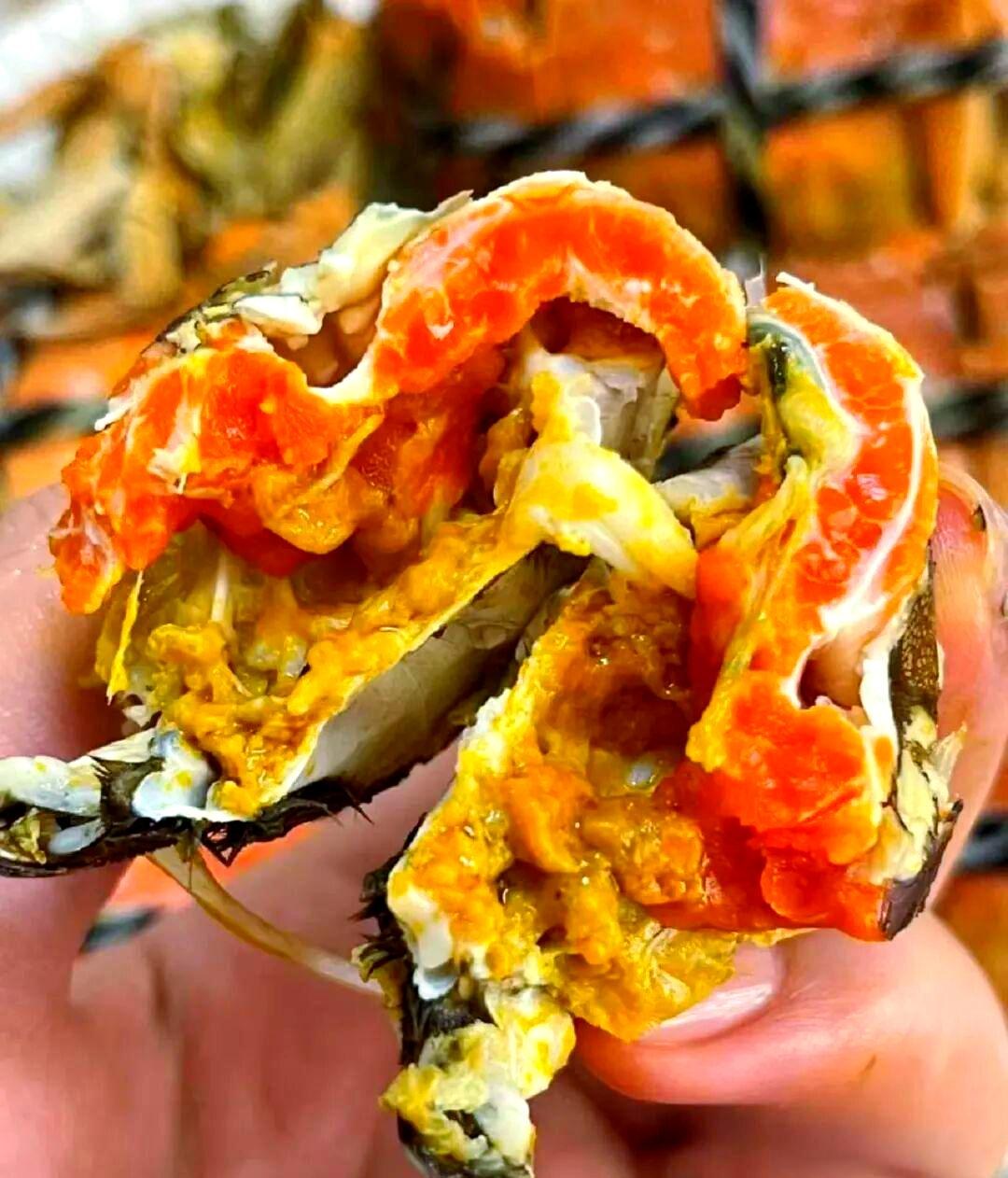 打开的母蟹，满仓橙红蟹黄